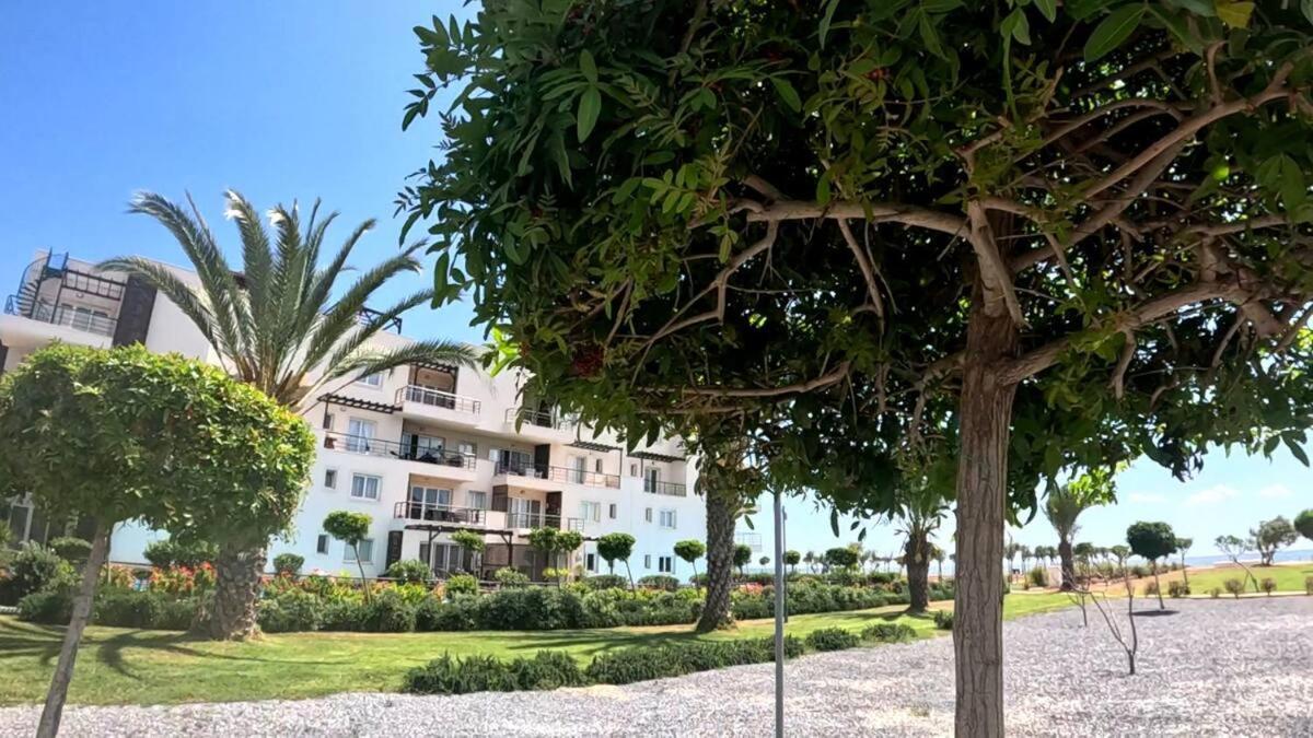 Great Seaview Appartments In Thalassa Vokolidha Exteriör bild